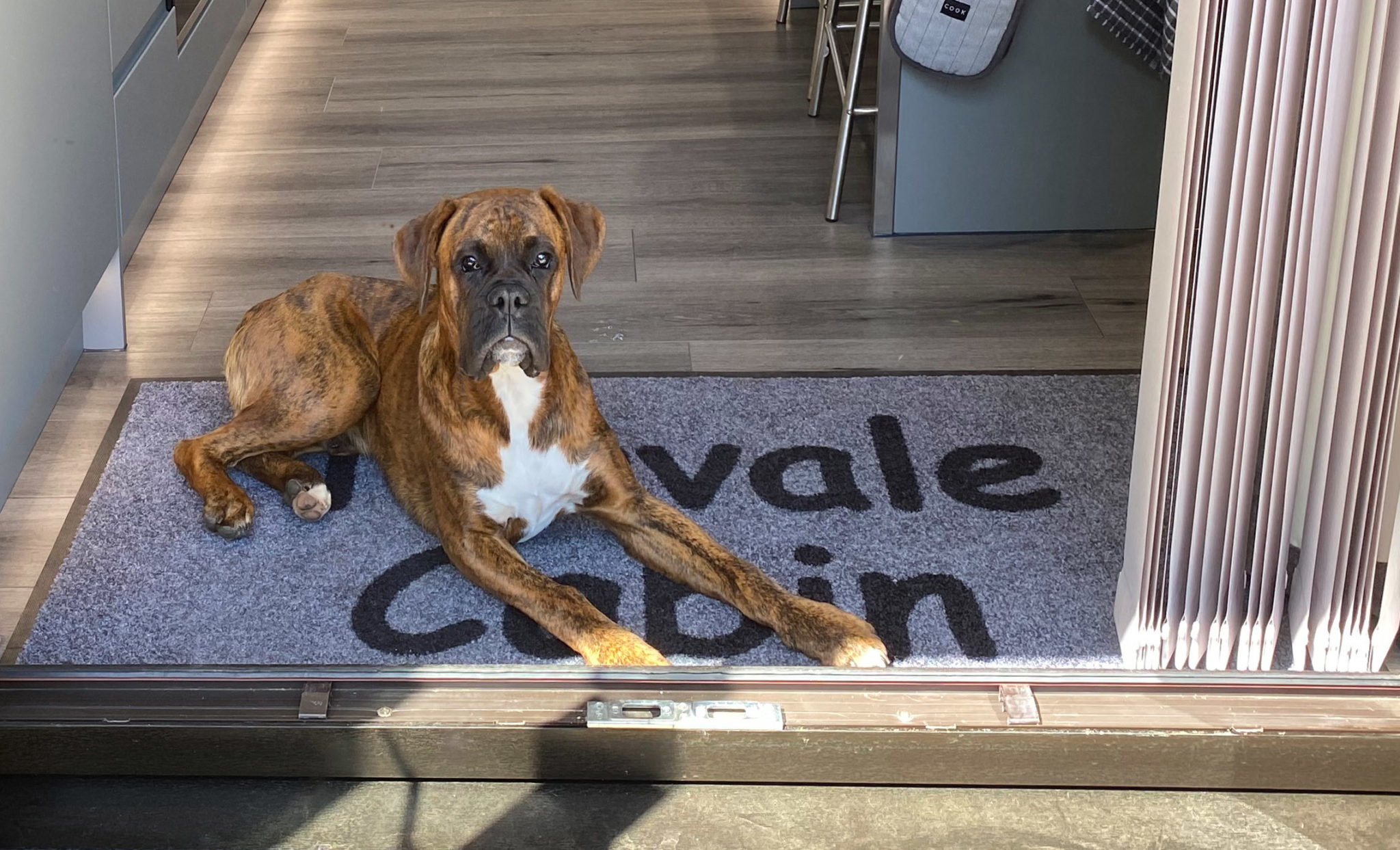 Dog Friendly2